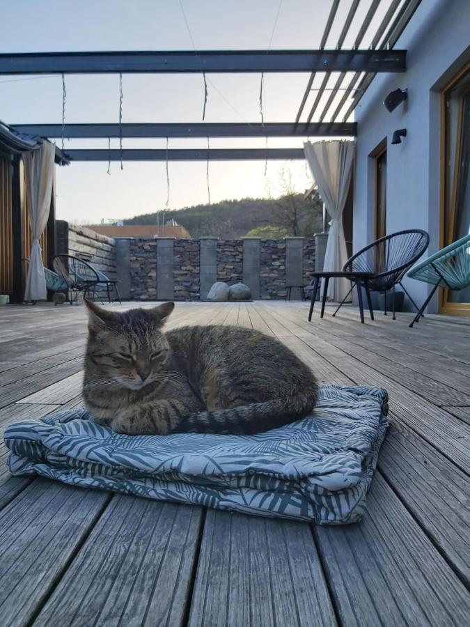 Vigeo Lounge B&B Coffee Bojnice Eksteriør billede